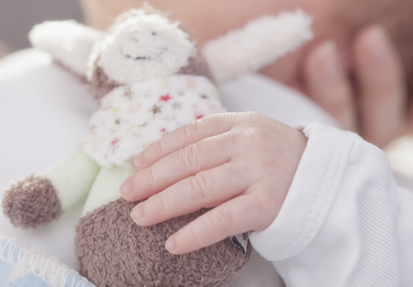 baby with soft toy iStock_000033780350_Small
