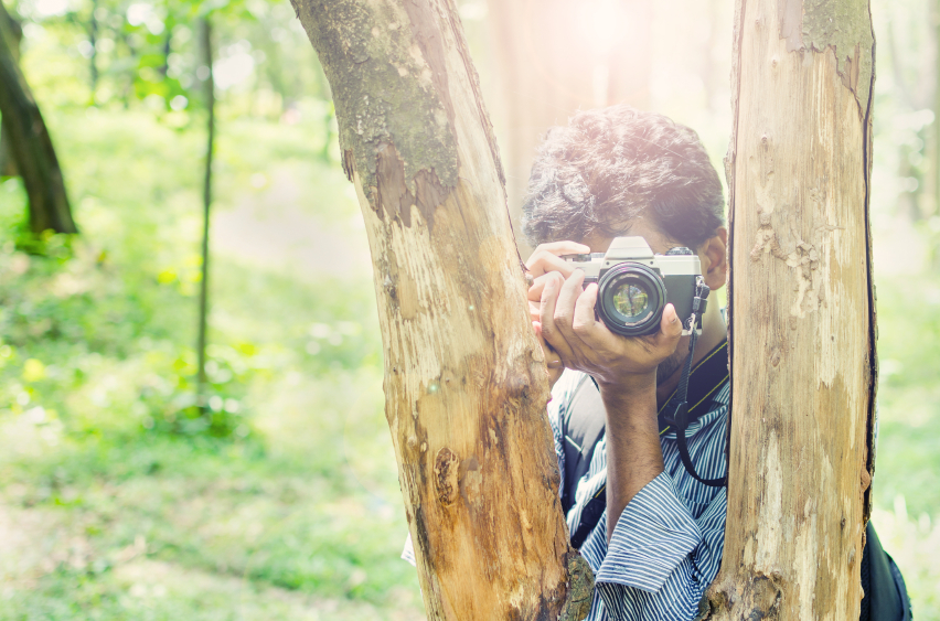 Photographer taking photos framing in between tree trunks with Film camera in natural outdoor, vintage look