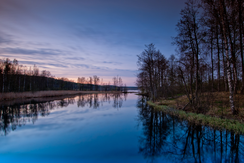 beautiful landscape at sunset. Bare trees around calm lake