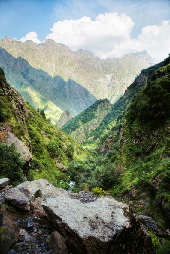 vertical shot iStock_000088300757_Small